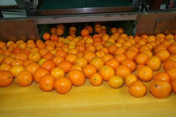 Naranjas de la Comunitat Valenciana