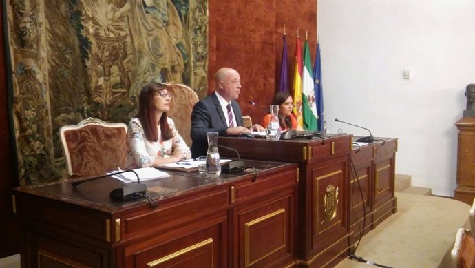 Antonio Ruiz preside el Pleno de la Diputación