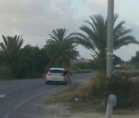 Detenido en Elche un conductor que sacó de la vía a un ciclista y fue fotografiado por un testigo
