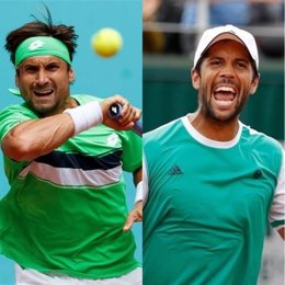 David Ferrer y Fernando Verdasco