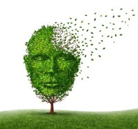 ¿Demencia por Alzheimer o demencia frontotemporal? Crean un método para diferenciarlas