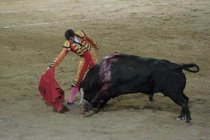 Toros