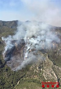 El incendio de vegetación forestal de Tivenys continúa activo