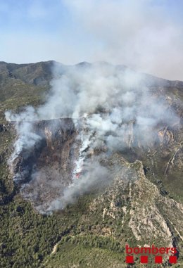 Incendi de vegetació a Tivenys