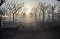 La Junta ultima su personación como acusación en la causa del incendio de Moguer, que espera para la próxima semana