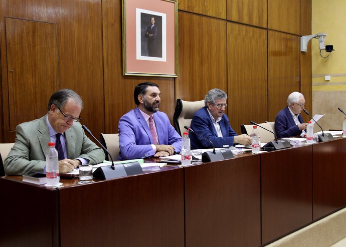 El consejero de Turismo, Francisco Javier Fernández (centro), en la comisión