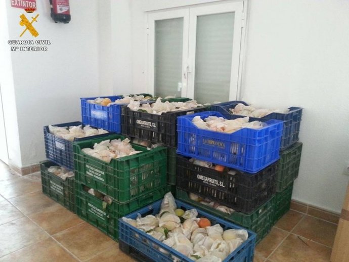 Melocotones intervenidos