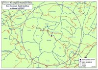 Elena Cebrián comparecerá en Les Corts para informar sobre el foco de Xylella