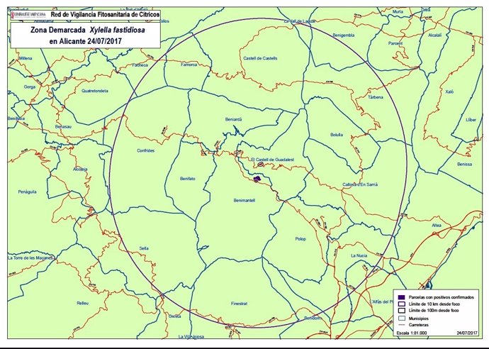 Zona demarcada por la Xylella en Alicante 