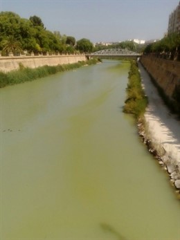 Aspecto verde Segura Murcia