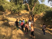 Empresarios de Colombia conocen el turismo de los sectores productivos en las Rutas del Vino y Jabugo (Huelva)