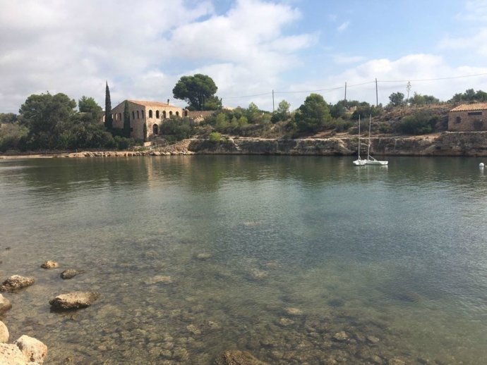 El port de L'estany reformat
