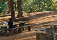 Finaliza la prohibición de hacer fuego en los montes de Tenerife