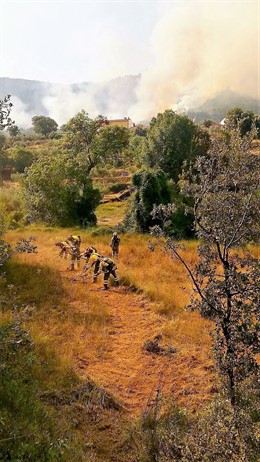 Brigada forestal Murcia en incendio Yeste