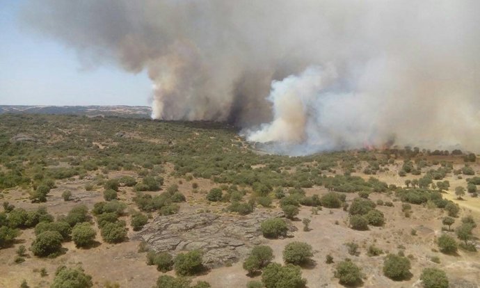Zamora.- Incendio en Pino del Oro