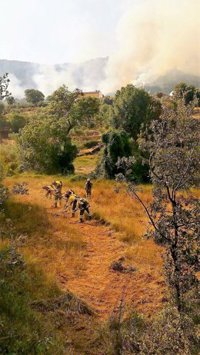 El PP reclamará ayudas ante "las pérdidas" de los vecinos de Yeste tras el incendio