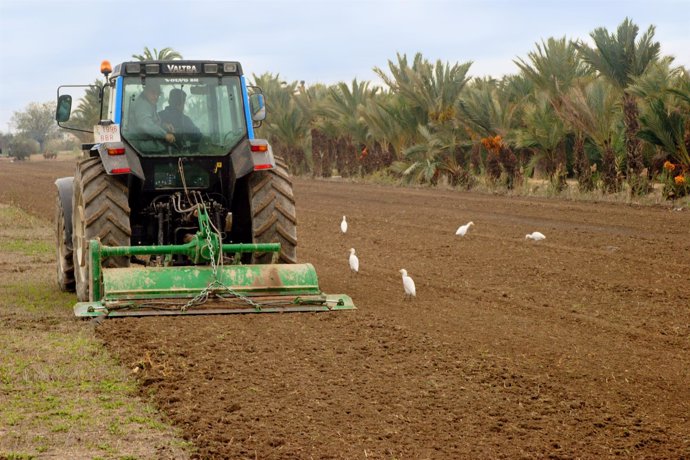 Agricultores trabajando en un campo