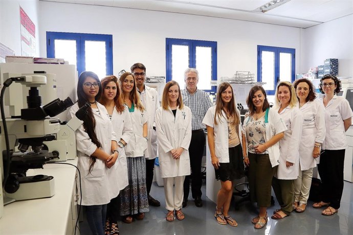 Laboratorio de biología molecular UMA