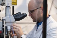 Descubren una posible diana para restaurar la función de las células y mejorar la memoria en el Alzheimer