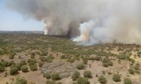 Rebajado a nivel 0 el incendio de Pino del Oro (Zamora)