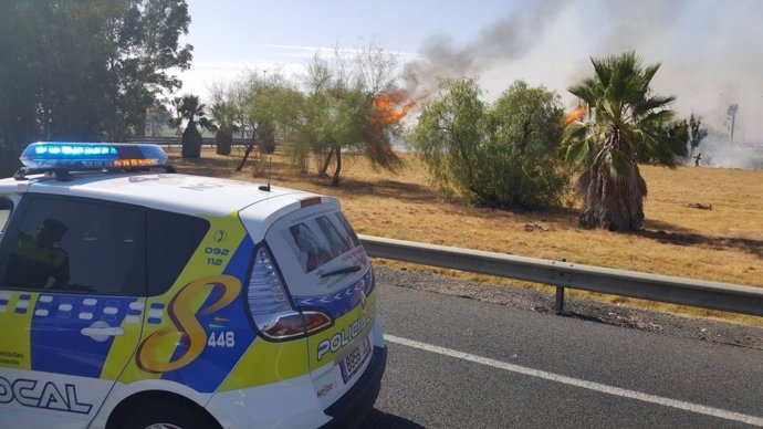 Incendio en una zona de pastos junto al aeropuerto de Sevilla
