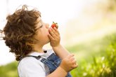 Foto: Otro motivo para que tu hijo coma frutas y verduras