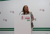 PSOE-A reitera su oposición a "discursos rupturistas con españoles de primera y segunda"