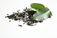 Un compuesto del té verde podría mejorar el deterioro de la memoria y la obesidad