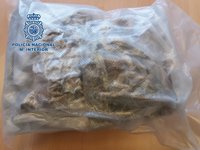 Detenido con varios recipientes con setas alucinógenas y hachís para su venta en Granada