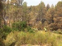 Perimetrado en su totalidad el incendio de Yeste