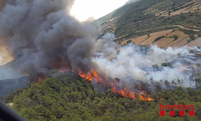 Incendio forestal en Vallbona de les Monges (Lleida)