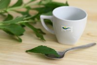 Gobierno confirma al Servicio de Certificación CAAE que ya se pueden comercializar productos con la planta Stevia