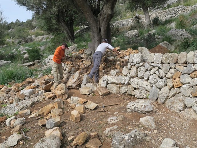 Margers trabajando en la recuperación de una finca