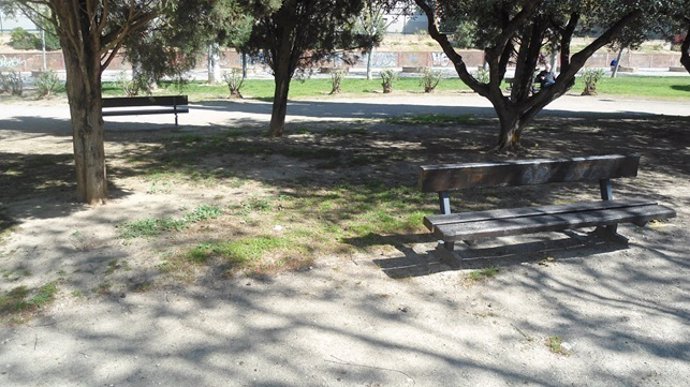 Estado de las zonas verdes en el Parque Torre Ramona en Las Fuentes