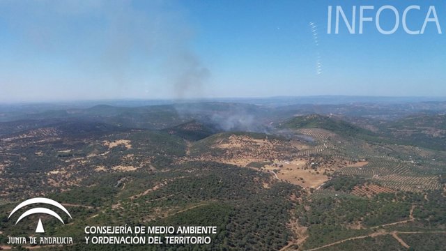 Incendio forestal de Villaviciosa de Córdoba