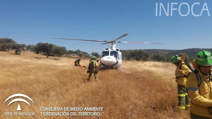 Infoca actúa en el incendio forestal en Villaviciosa de Córdoba