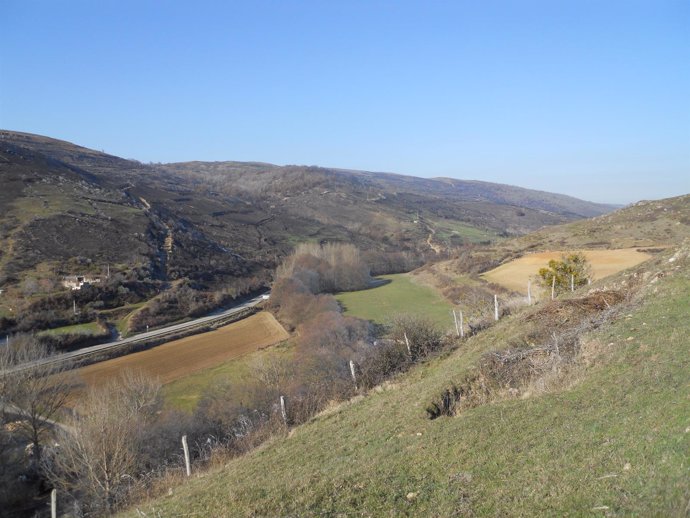 Carretera   