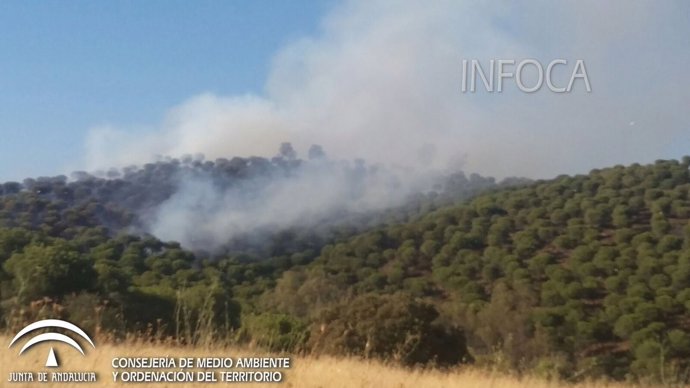 Incendio en Villafranca de Córdoba