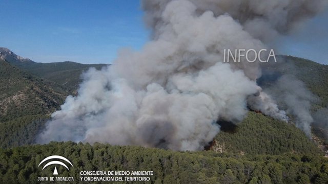 Incendio en Segura de la Sierra