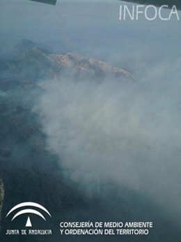 Imagen del incendio forestal en Segura de la Sierra (Jaén)