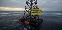 Greenpeace pide a Energía que descarte los permisos de nuevas prospecciones en el Mediterráneo, en zona de cetáceos