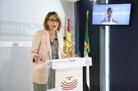 El PP pide la puesta en marcha de la Estrategia Industrial para que las empresas se puedan acoger a beneficios fiscales