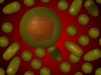 Curar la hepatitis C en pacientes con VIH reduce el riesgo de diabetes e insuficiencia renal crónica