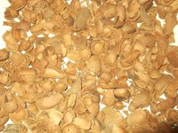 UCO, CTA, la Agencia Andaluza de la Energía y Prodetur participan en un proyecto para medir la calidad de la biomasa