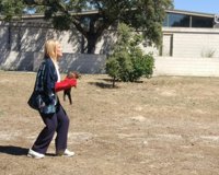 El Centro de Recuperación de Animales Silvestres atiende en siete años a más de 21.000 ejemplares