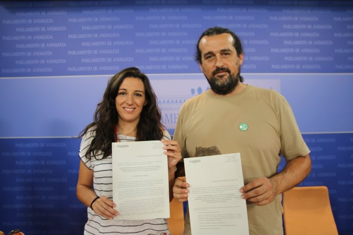 La diputada de Podemos Libertad  Benítez