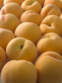 Aragón espera respuesta sobre su solicitud de nuevos cupos de retirada de fruta de hueso