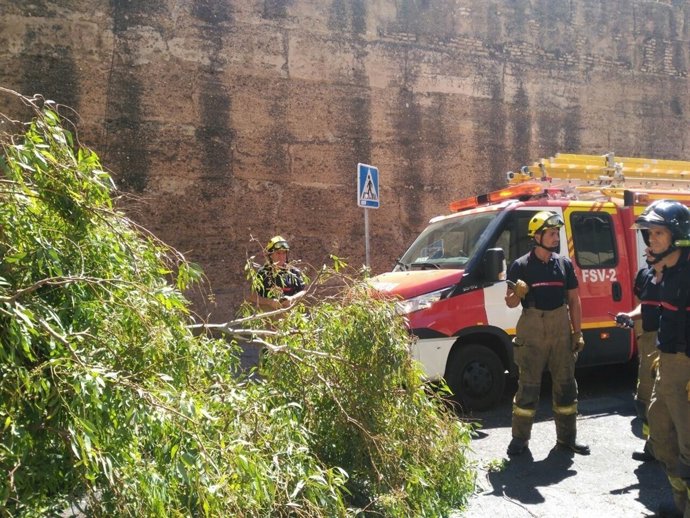 Fotografía. Muralla De La Macarena (2)