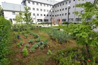 Un concurso para fomentar la creatividad inspirada en la agricultura en el Princesa Letizia