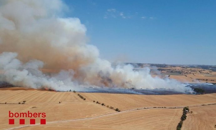 Incendio forestal y agrícola en Tàrrega (Lleida)
